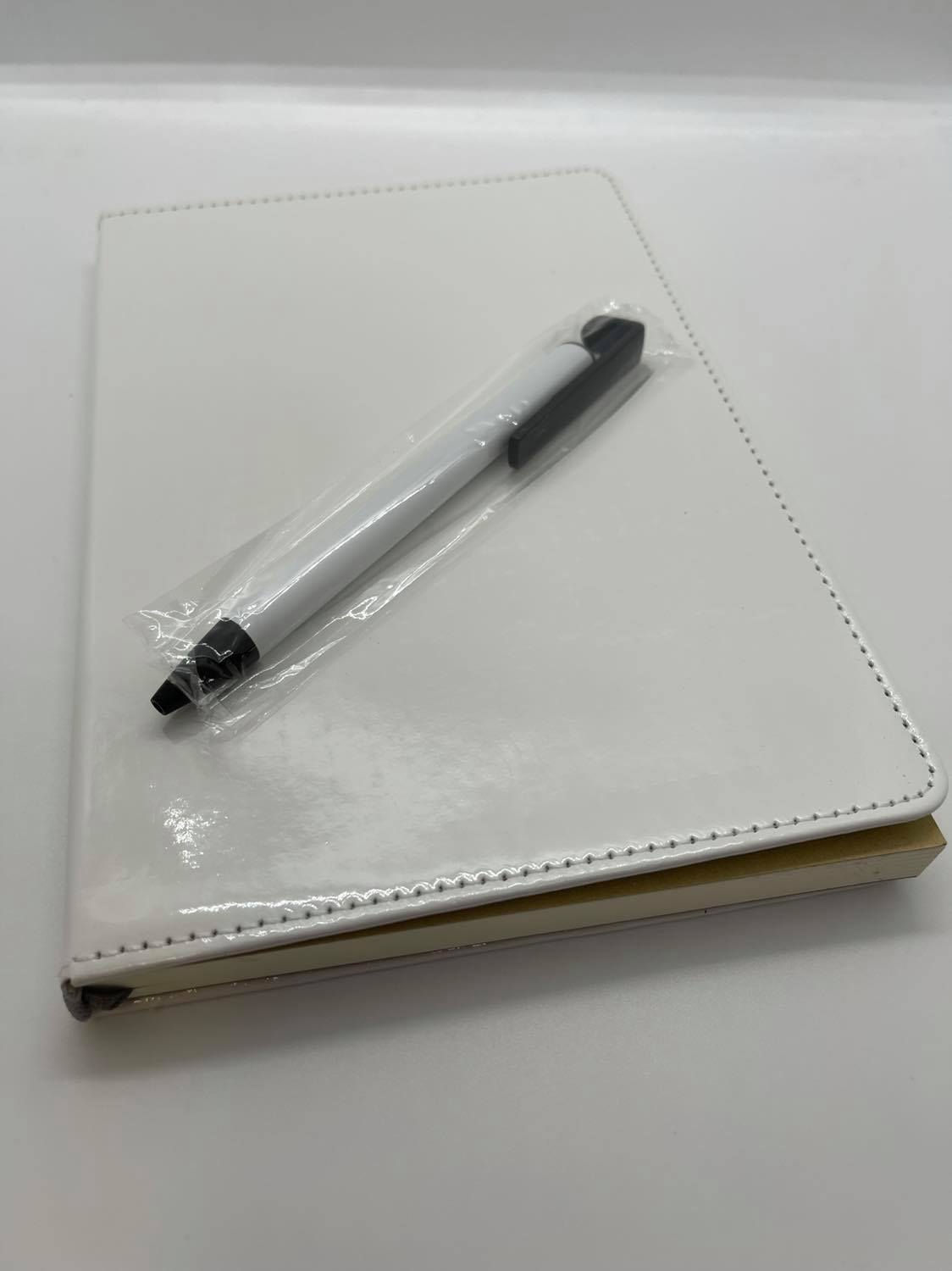 Blank Journal & Pen Set